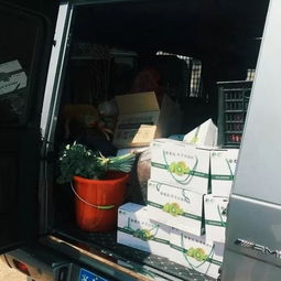 小长假搬家记 行李与乡愁的迁徙