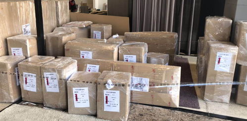 精品搬家 省心省力，重塑搬家新体验